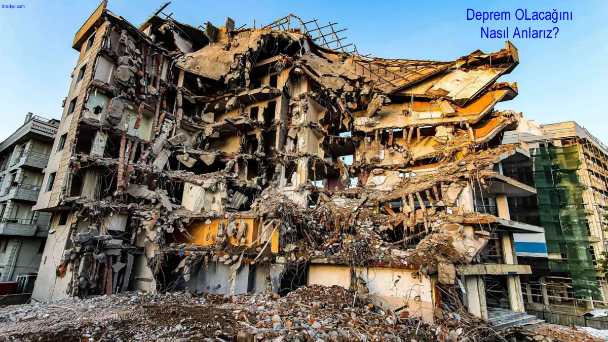 Deprem Olacağını Nasıl Anlarız