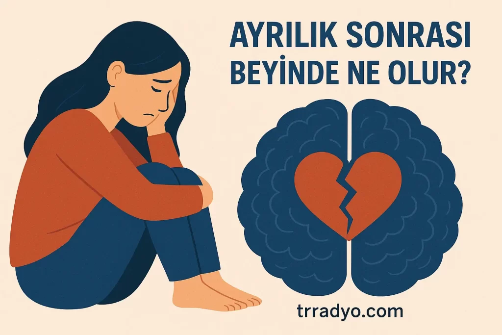 Ayrılık Sonrası Beyinde Ne Olur TRRadyo