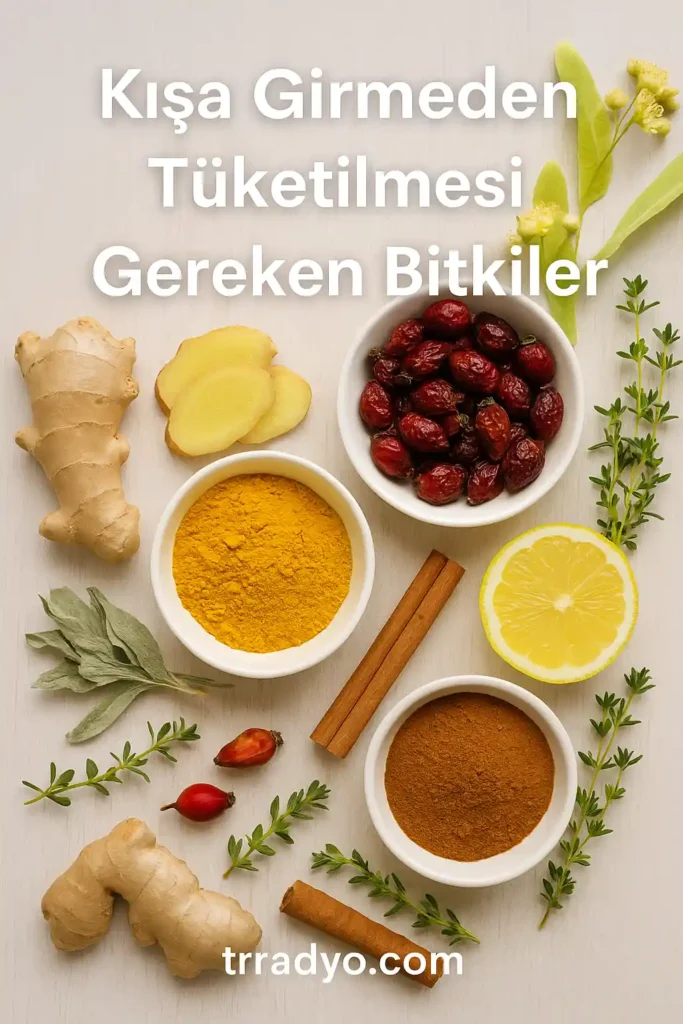 Kışa Girmeden Tüketilmesi Gereken Bitkiler TRRadyo